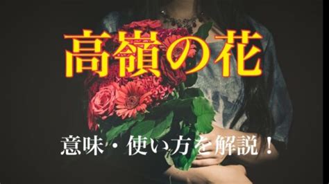 高嶺の花とはどんな人|高嶺の花（たかねのはな）の意味とは？使い方や例文。